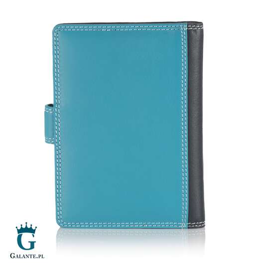 Kolorowe skórzane etui na paszport Visconti RB-75 RFID
