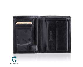 Mały portfel męski bez zapięcia pionowy z RFID na dowód rejestracyjny 348-1 